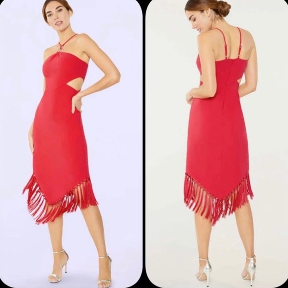 NWT Likely Aldina Midi Tasseled assymetrical Dress Size 4 reg $398 - Picture 1 of 9